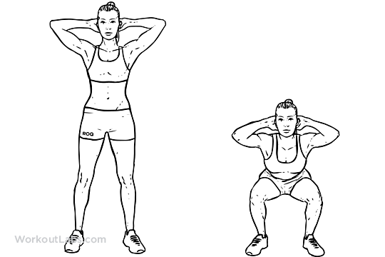 Bodyweight Squat