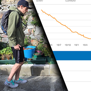 feedback loop weight loss